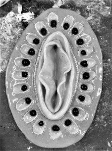 Greyscale. Eloise White's "Kiwi Cooch" piece., which looks like a cross-section of a kiwi with a vulva in the middle.
